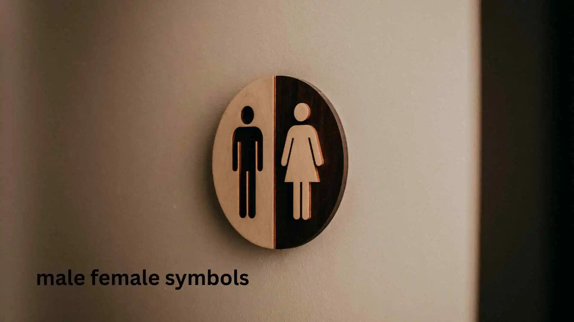male female symbols